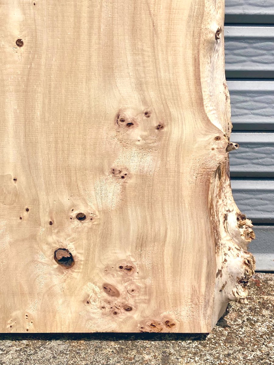 ポプラ 瘤

小宇宙感がいいですね🪐😊

銘木すずめや　Yahoo!オークション 出品一覧(※店頭でも販売しております🪵🤗)
x.gd/oiFPu