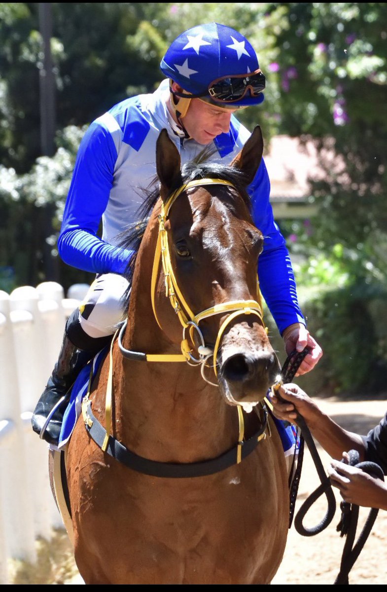 Vaguely Noble Syndicate tweet media