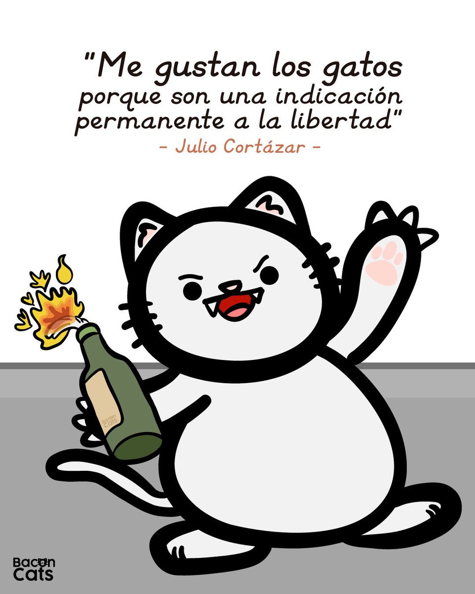 Así lo dijo Julio Cortázar, a propósito de su natalicio 📚🐱