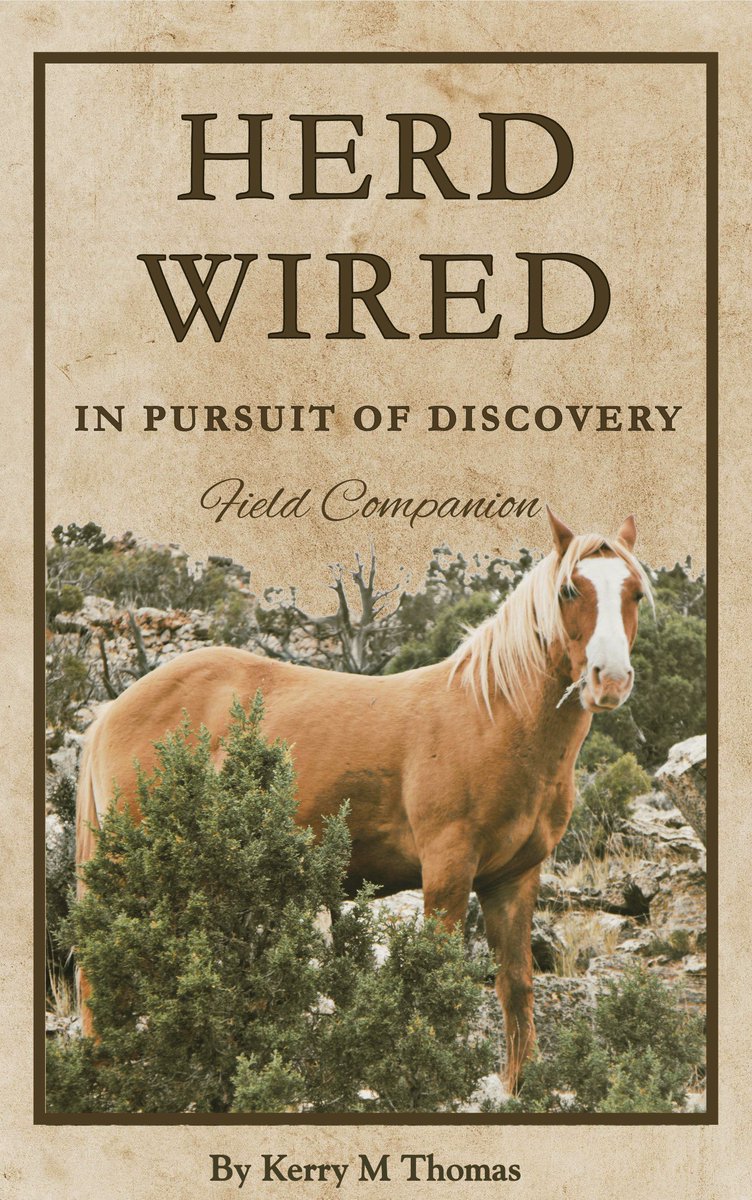 My wife and I are looking over an offer from a publisher in Europe who wants to translate and distribute my new book, Herd Wired, in Dutch and German. Likely to sign the offer, just a few things to sort out yet.