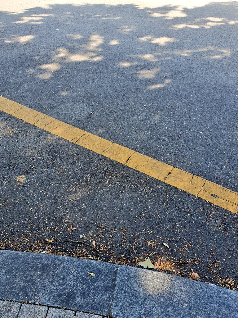 고마운 나무그늘