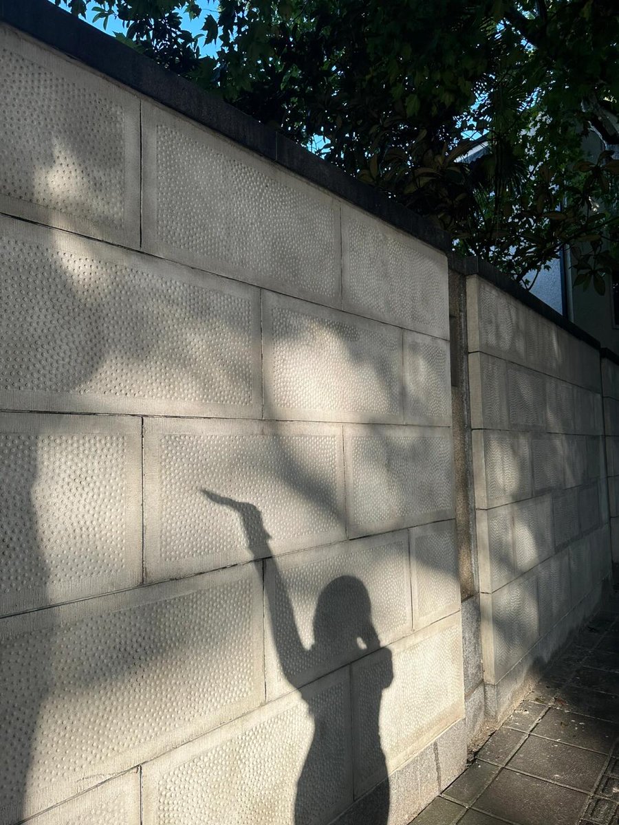 SactoDeadHorses's tweet photo. The morning sun shines on me. Saying morning to my neighbor. Saying hello to my dog. Having breakfast with my friend https://t.co/THOII4SbRG