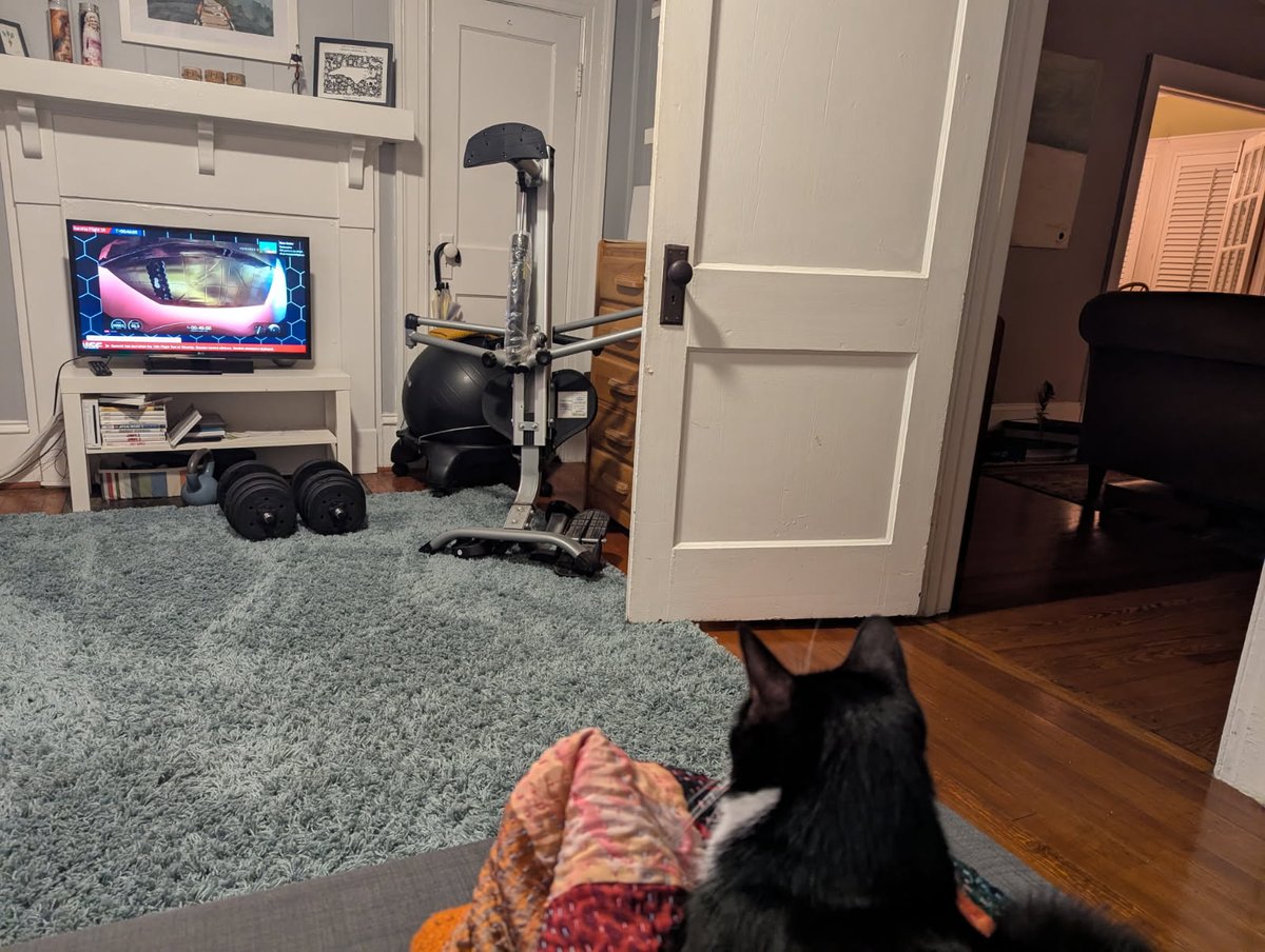 My cat named Raptor V3 watching starship flight 10