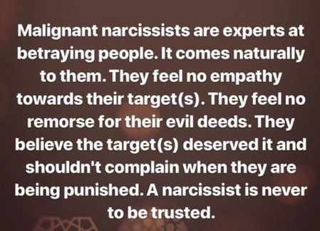 The Narcissist Box (@narcissistbox) on Twitter photo 