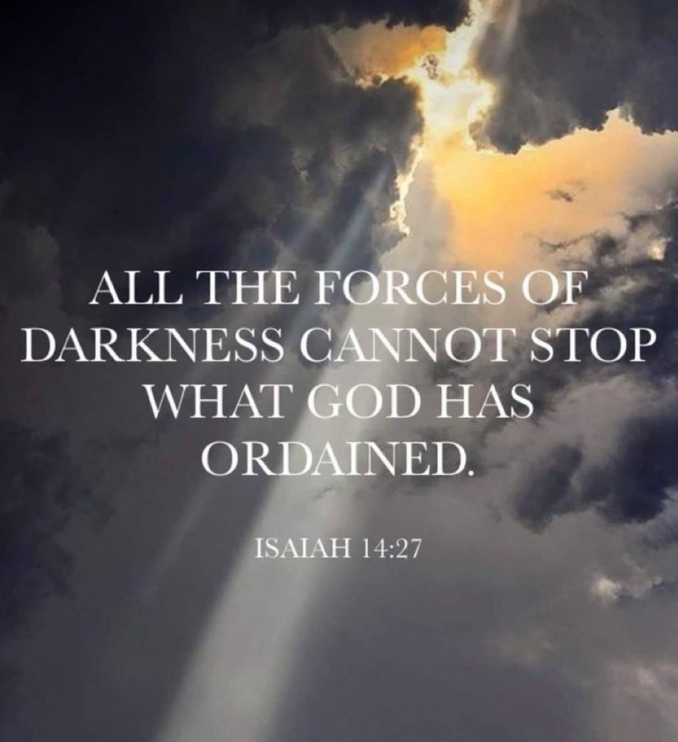 Operation Heal America (@operhealamerica) on Twitter photo 