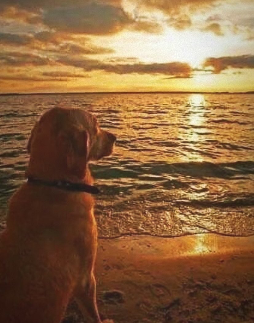 ًًً (@websnsuch) on Twitter photo 