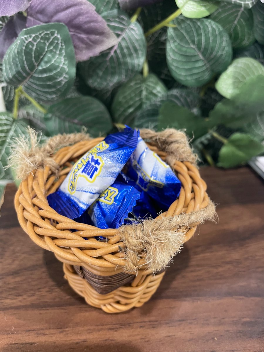 COCOCARA2023's tweet image. おはようございます🐨
COCOCARA板橋オフィスです！

#水曜日 になりました🤩
本日の #板橋区 の天候は晴れ☀️
#最高気温 は35℃の予報です🌡️

今日も刺すような日差し…
熱中症予防に塩タブレット配布中です！

お問い合わせはこちら✨👇
▶ cccara.com/twitter-inquiry
📞03-5944-1126…