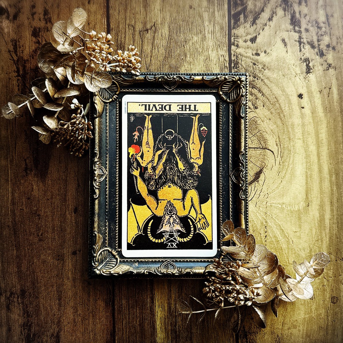 最終のお値下げです‼️六爻占術テキスト1、2 カード、問題集付き 61rs7PRdSoL._AC_UF350,