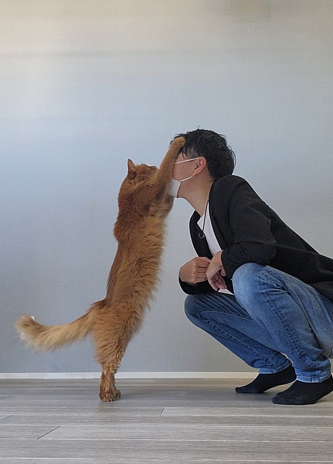 あっぴ❥コメントなし＆即購入OK❥ページ 🍈 on X: 