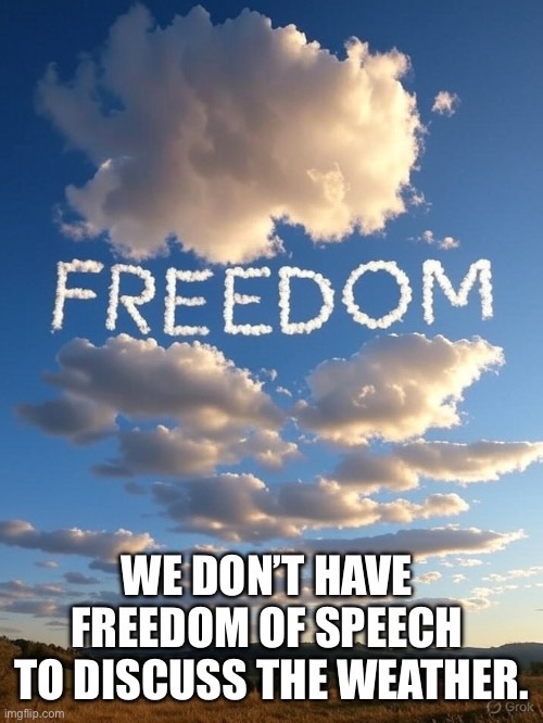 We don’t have freedom of speech to talk about the weather.