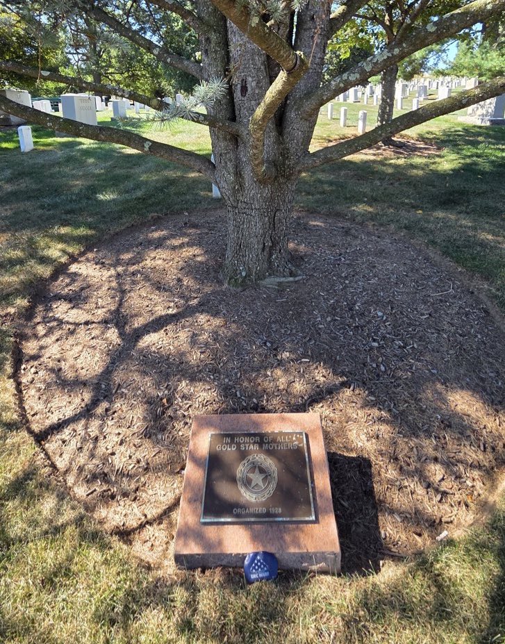 4WARDproject's tweet image. This rock for Eric was left at the Gold Star Mothers Tree in Arlington Natl Cemetery by Vietnam-era Marine Corps veteran &amp;amp; our friend Patrick Hughes @Patrickmag12chu 

4WARD Project exists to honor our son lost to military suicide. His story ➡️ 4WARDproject.com #4EricWard