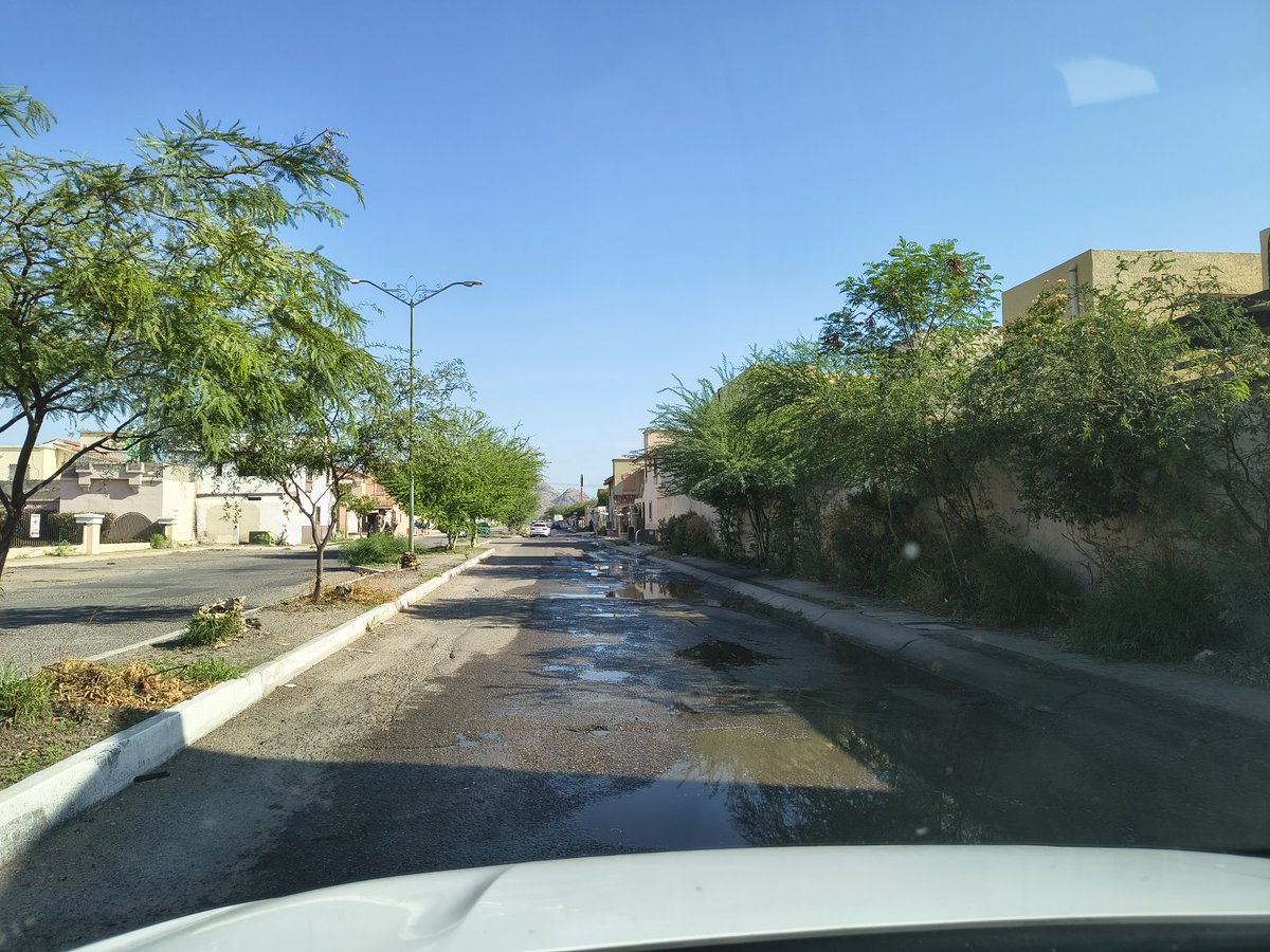 fernando tweet media