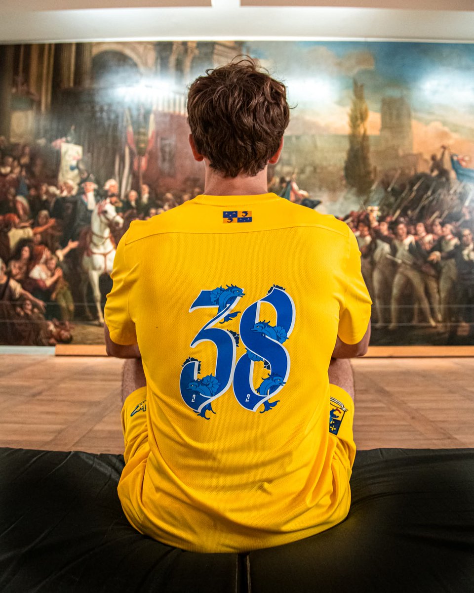 🇫🇷 Grenoble Foot 38 25/26 third kit x Nike.

Shot at the iconic Château de Vizille, the shirt pays tribute to the Dauphiné region.

💛🐬 On yellow, it features a dolphin and crown pattern, plus the club’s badge set over the local coat of arms.

Opinions?