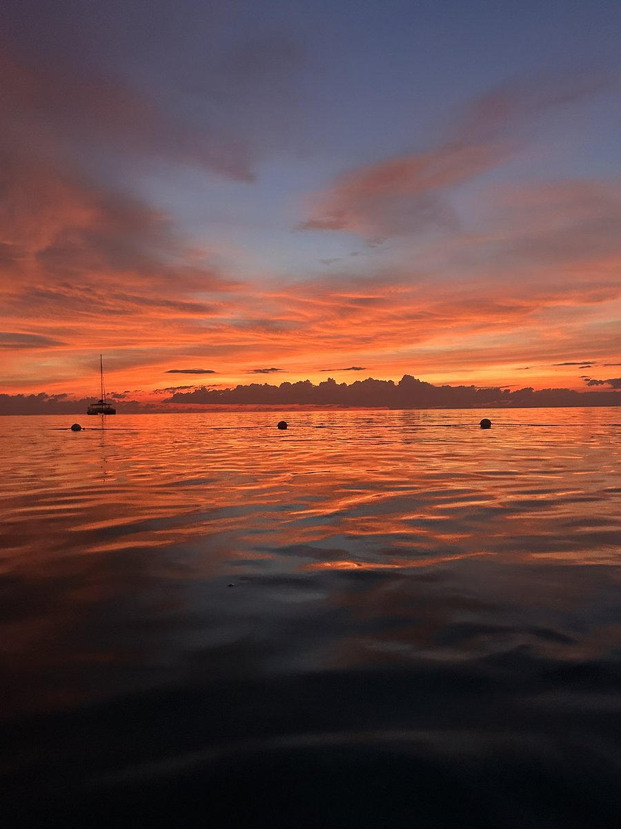 Licenciada Bizzotto 💚 tweet media