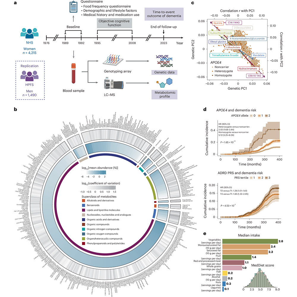 A study in <a href="/NatureMedicine/">Nature Medicine</a> identifies the Mediterranean diet as a promising approach to mitigate genetically dependent Alzheimer’s disease-related dementias risk by targeting a broad spectrum of metabolic pathways. go.nature.com/45Dwb0p