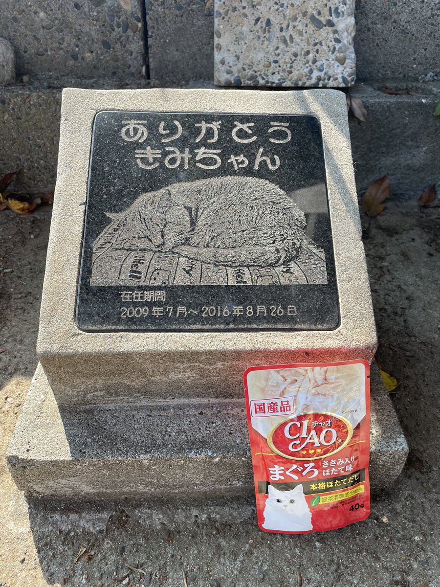 休日に♪趣味で１台作りました(^-^)/　説明文読んでね！ すみっコぐらし学習ドリル 小学1年のさんすう文しょうだい