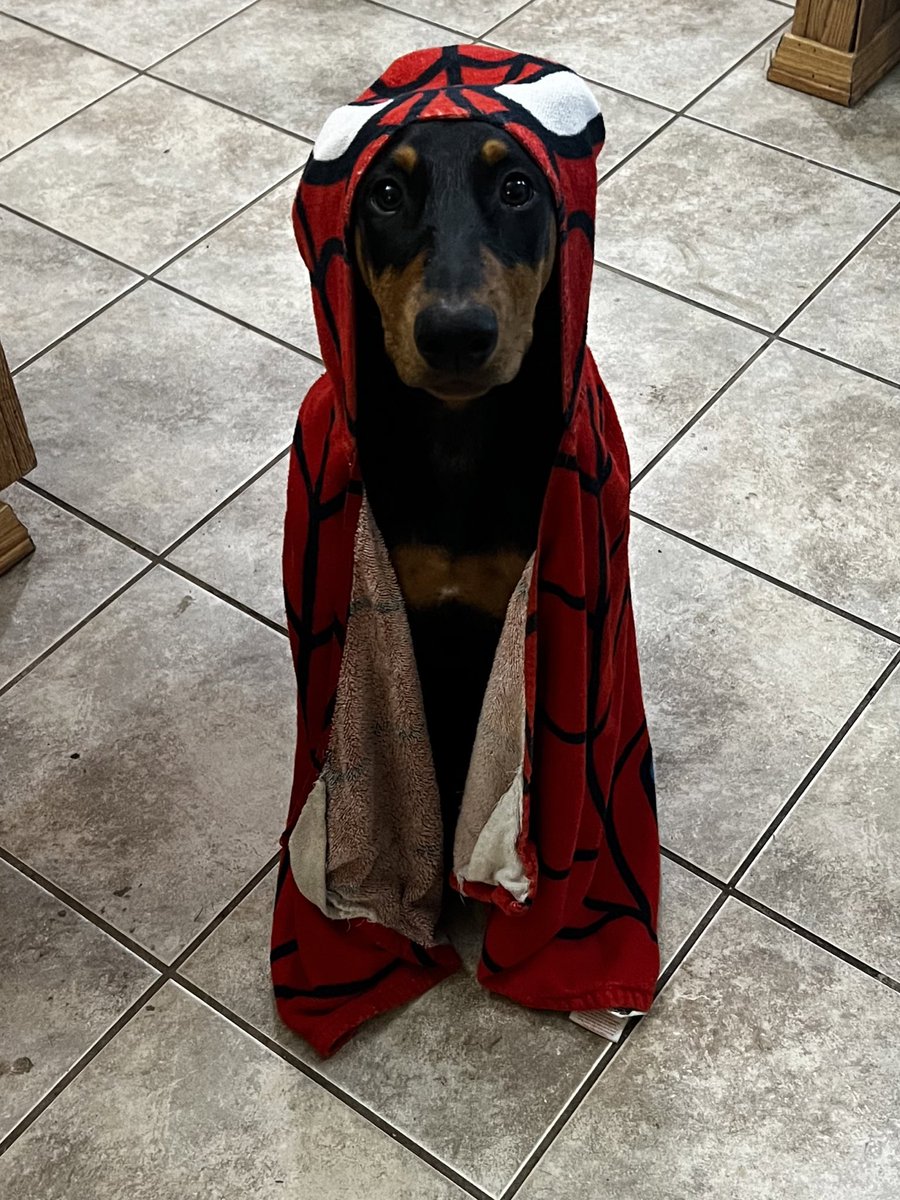 LndryPool's tweet image. I cannot take how fkn cute she is 😭😭