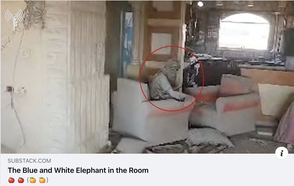 One for the math geniuses... 🍎 "The Blue And White Elephant In The Room".  Would love to hear your thoughts.
open.substack.com/pub/shanameyer…