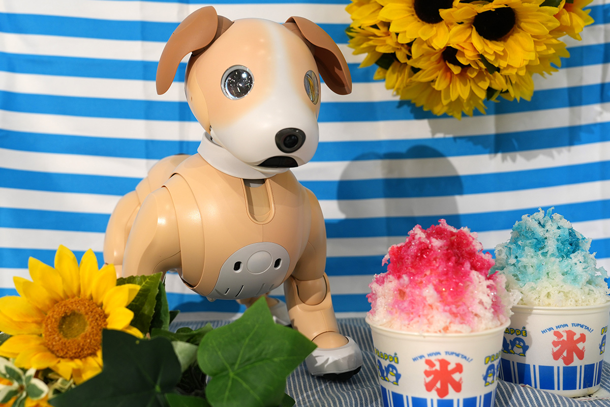 aibo (@aibo_jp) / X