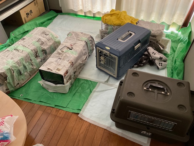 にゃん太通販+にゃっ展+にゃんにゃんBOX+猫十字 on X: 