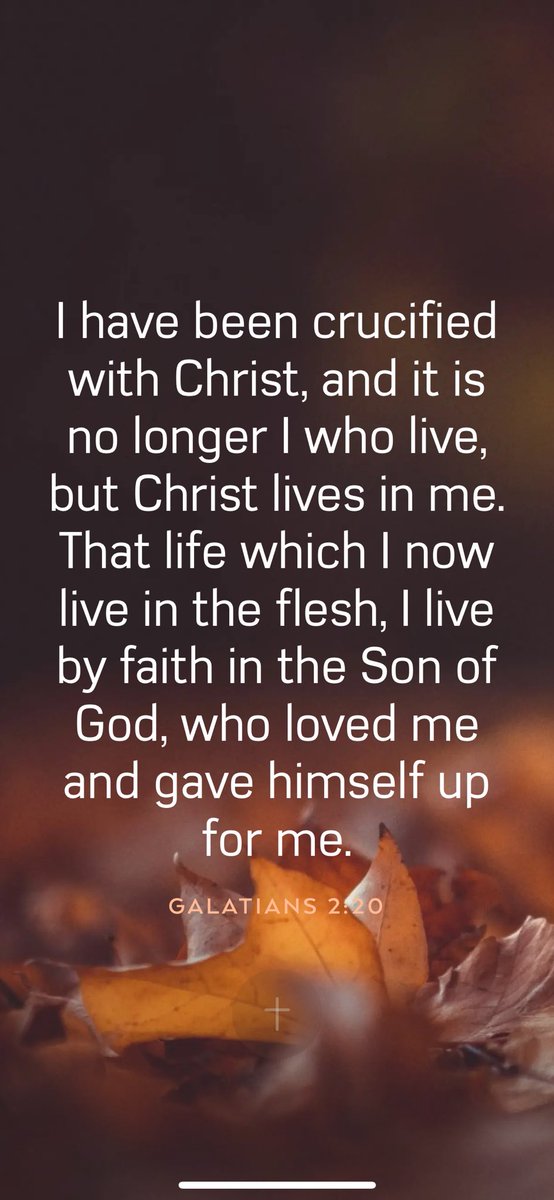 🍭🍭Candace🍭🍭 (@candace_lo70387) on Twitter photo 🌿🌸 For we live by faith not by sight. 🌸🌿
2 Corinthians 5:7
<a href="/StarxFire/">⭐️🔥star⭐️🔥</a>
<a href="/MassholeJay/">Jay 🇺🇸🇺🇸🇺🇸</a>
<a href="/franigenx/">Francine</a>
<a href="/State9Mac/">Mac</a>
<a href="/candace_lo70387/">🍭🍭Candace🍭🍭</a>
<a href="/Derameth/">Dee 💯 🇺🇸 ☠️</a>
<a href="/earthing5000/">EARTH!🇺🇸</a>
<a href="/BobbyReader2/">Bobby R</a>
<a href="/Michelle__Skye/">Michelle Budinger M</a>
<a href="/greyman7107/">Greyman7107</a>
<a href="/American_VET2/">🇺🇸 OG American Vet 🇺🇸</a>
<a href="/GabiNga1/">Gabi🌻</a>
<a href="/Bagel69er/">🇺🇸🇺🇸🇺🇸Bagel Colorado❤️🤍💙</a>
<a href="/oh_laa_laa/">💞 𝒲ℋℐ𝒮𝒫ℰℛ 💞( 𝓐𝓵 ) 🥰</a>
<a href="/Tweeklives/">twk4usa</a>
<a href="/th1_thr1/">Tom_Space</a> 🌿🌸 For we live by faith not by sight. 🌸🌿
2 Corinthians 5:7
<a href="/StarxFire/">⭐️🔥star⭐️🔥</a>
<a href="/MassholeJay/">Jay 🇺🇸🇺🇸🇺🇸</a>
<a href="/franigenx/">Francine</a>
<a href="/State9Mac/">Mac</a>
<a href="/candace_lo70387/">🍭🍭Candace🍭🍭</a>
<a href="/Derameth/">Dee 💯 🇺🇸 ☠️</a>
<a href="/earthing5000/">EARTH!🇺🇸</a>
<a href="/BobbyReader2/">Bobby R</a>
<a href="/Michelle__Skye/">Michelle Budinger M</a>
<a href="/greyman7107/">Greyman7107</a>
<a href="/American_VET2/">🇺🇸 OG American Vet 🇺🇸</a>
<a href="/GabiNga1/">Gabi🌻</a>
<a href="/Bagel69er/">🇺🇸🇺🇸🇺🇸Bagel Colorado❤️🤍💙</a>
<a href="/oh_laa_laa/">💞 𝒲ℋℐ𝒮𝒫ℰℛ 💞( 𝓐𝓵 ) 🥰</a>
<a href="/Tweeklives/">twk4usa</a>
<a href="/th1_thr1/">Tom_Space</a>