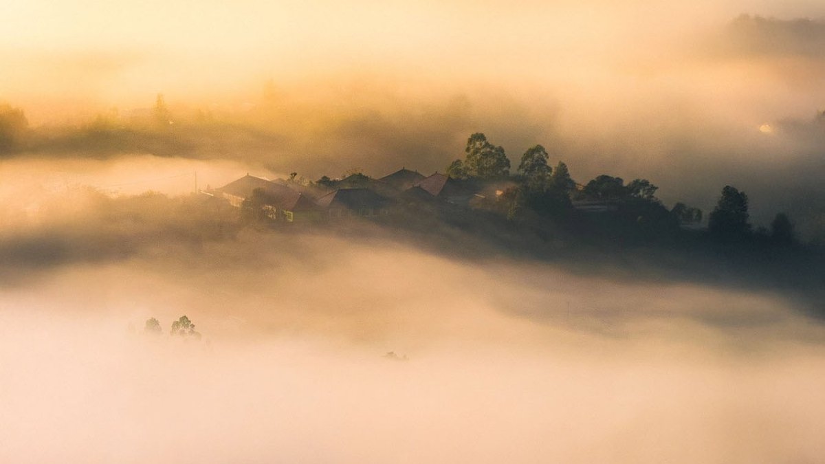 Albertus Pamungkas tweet media