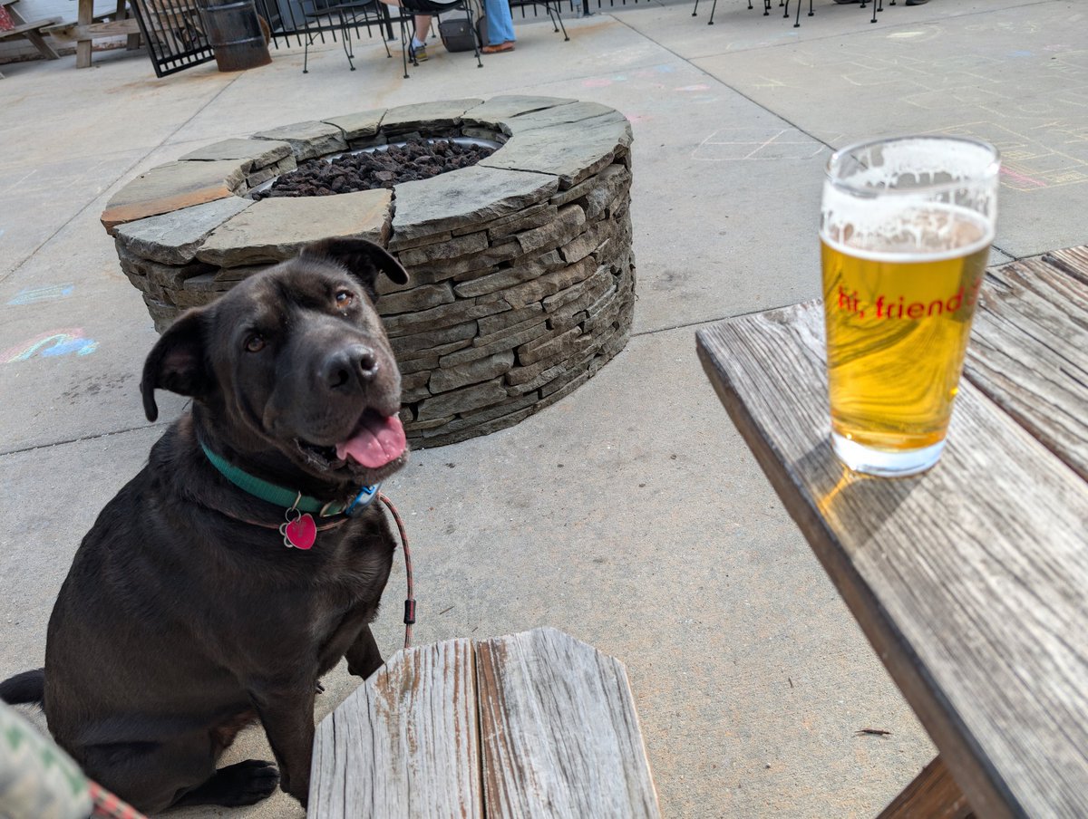 ca_jordan's tweet image. Happy #NationalDogDay to my buddy Bear.