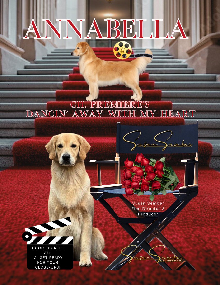 Susan Sember tweet media