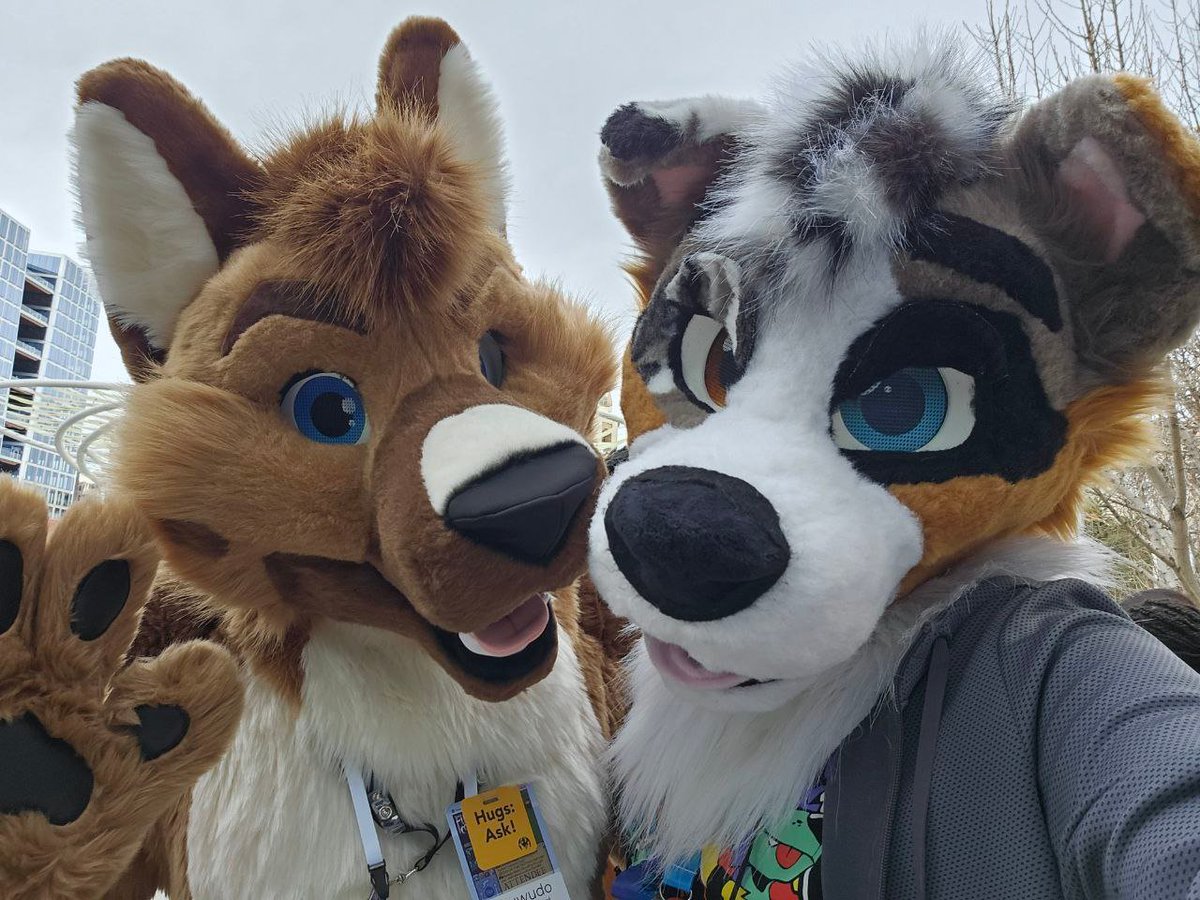 its national dog day!!! Find your local dog and give all the pets and hugs 

with <a href="/SkudoShep/">Skudo Shep 🍂🍁</a>