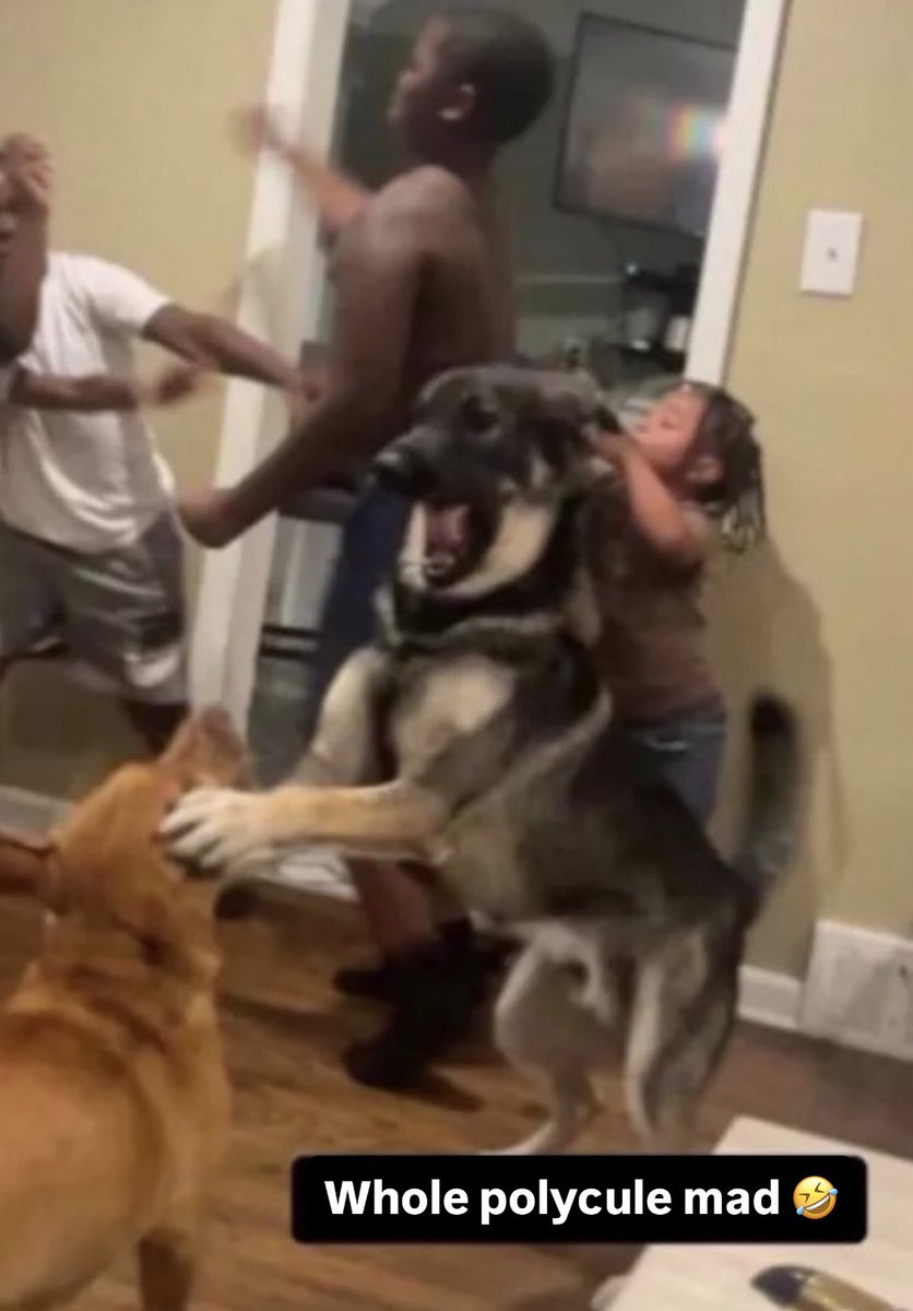 desirduvampire's tweet image. wolfybutch and his femmes rn