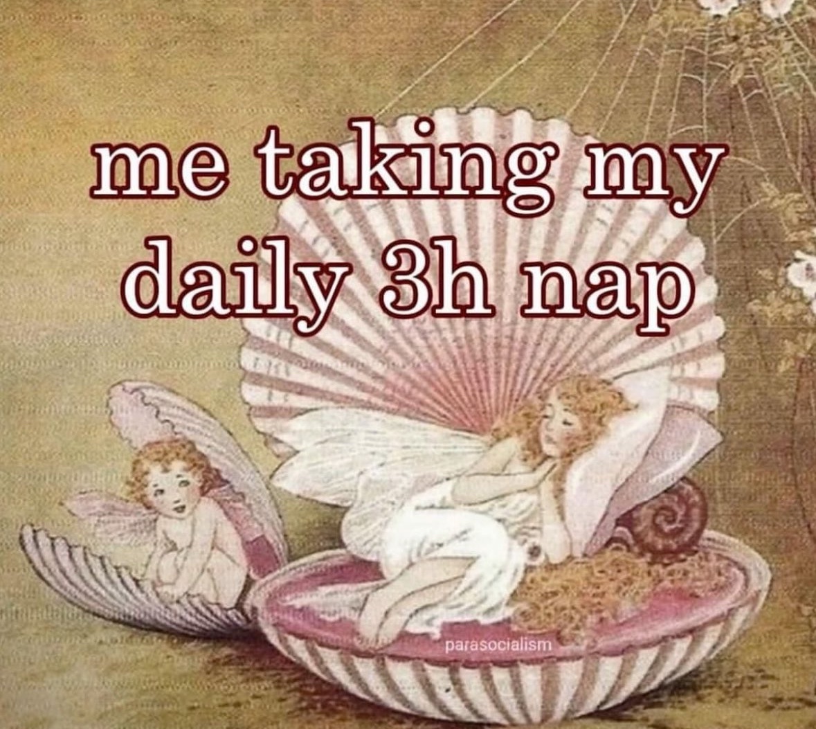 RespectfulMemes's tweet image. 