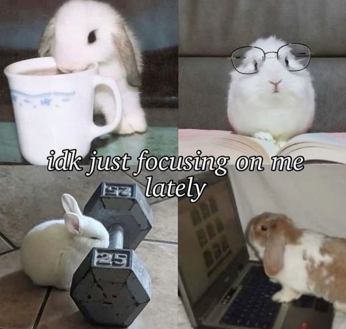 RespectfulMemes's tweet photo. https://t.co/D0QUQ5kd1T