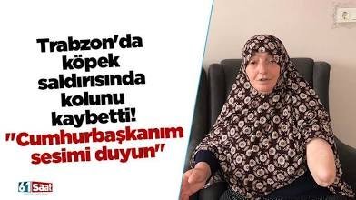 Fahrettin Paşa (@solo1453) on Twitter photo <a href="/TrabzonBelTr/">Trabzon Büyükşehir Belediyesi</a> Kardeşim sokaklarda başıboş itleri toplayacaksınız neyin şovunu yapıyorsunuz ? <a href="/TrabzonBelTr/">Trabzon Büyükşehir Belediyesi</a> Kardeşim sokaklarda başıboş itleri toplayacaksınız neyin şovunu yapıyorsunuz ?