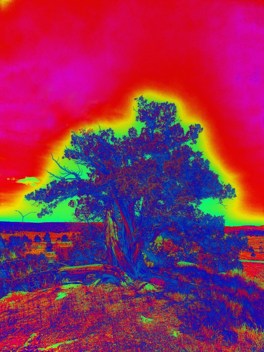 Riff Haven (@riffhaven) on Twitter photo Riff Häven Episode 433 airs tonight on <a href="/radioboise/">Radio Boise</a> with music from #YawningMan #Shiner #TheHives #QOTSA #SoftSun #Mastodon and more.
#RiffHaven #RadioBoise #Shoegaze #StonerRock #HeavyRock #FuzzRock #HeavyPsych #Doom #PsychRock #DesertRock #heavymetal Riff Häven Episode 433 airs tonight on <a href="/radioboise/">Radio Boise</a> with music from #YawningMan #Shiner #TheHives #QOTSA #SoftSun #Mastodon and more.
#RiffHaven #RadioBoise #Shoegaze #StonerRock #HeavyRock #FuzzRock #HeavyPsych #Doom #PsychRock #DesertRock #heavymetal