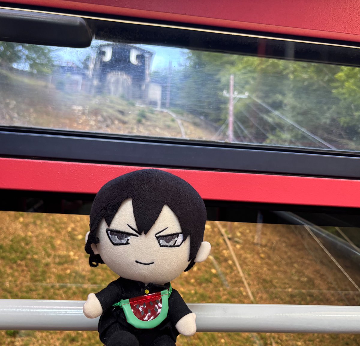 ぬい瀬 (@nuise0710) on Twitter photo 