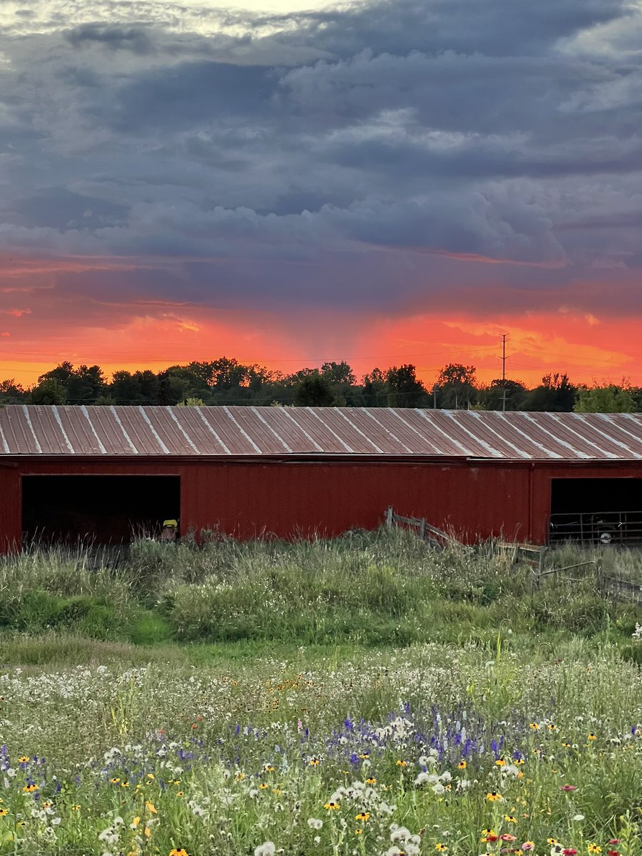 Summer still hanging on ….