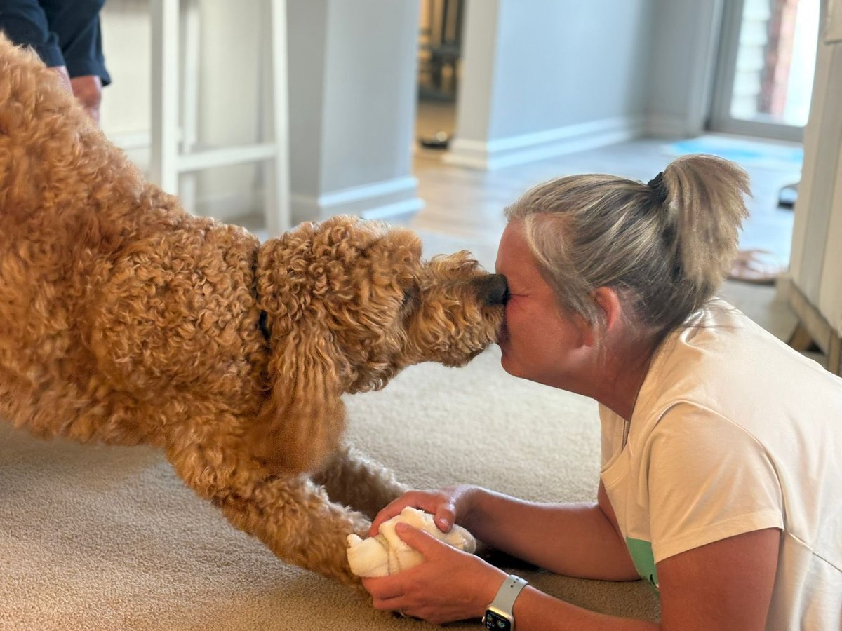 National dog day…… celebrate you every day my boy!