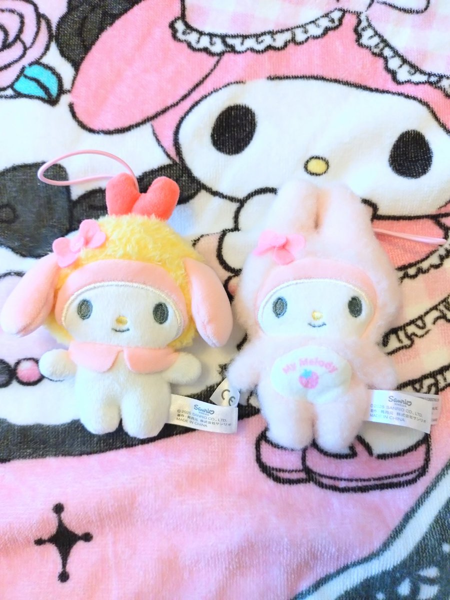 アル✨春爛漫[トイ•プードルファミリーのお花見] かなくま (@tvfhAdrt479DGJ0) / X