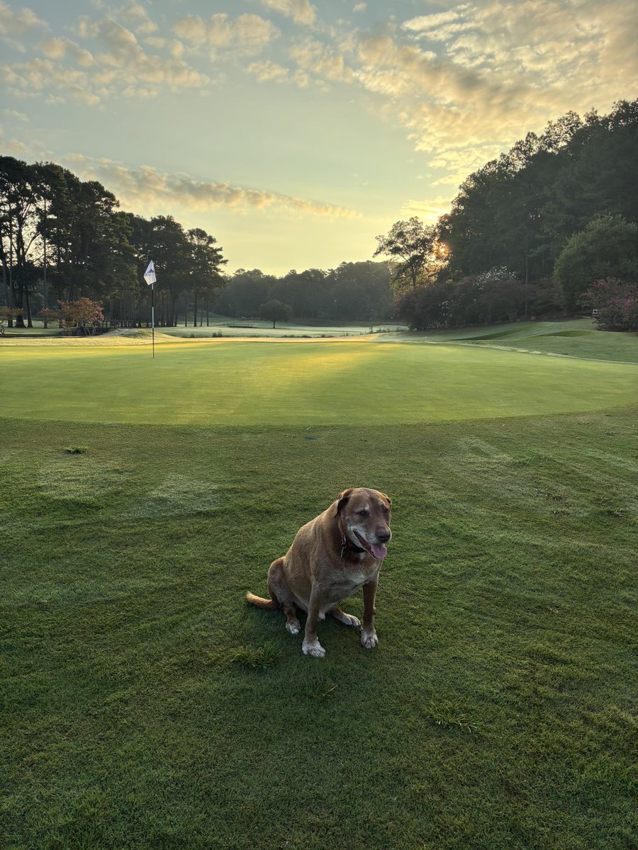 LJ Robinson (@lrobgolf) on Twitter photo 