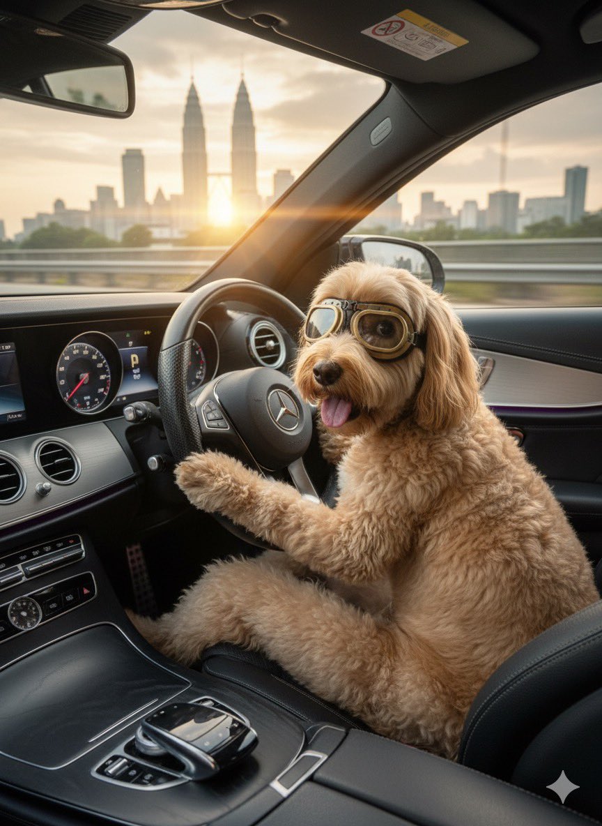 bytebot's tweet image. International Dog Day inspired by Sundar.