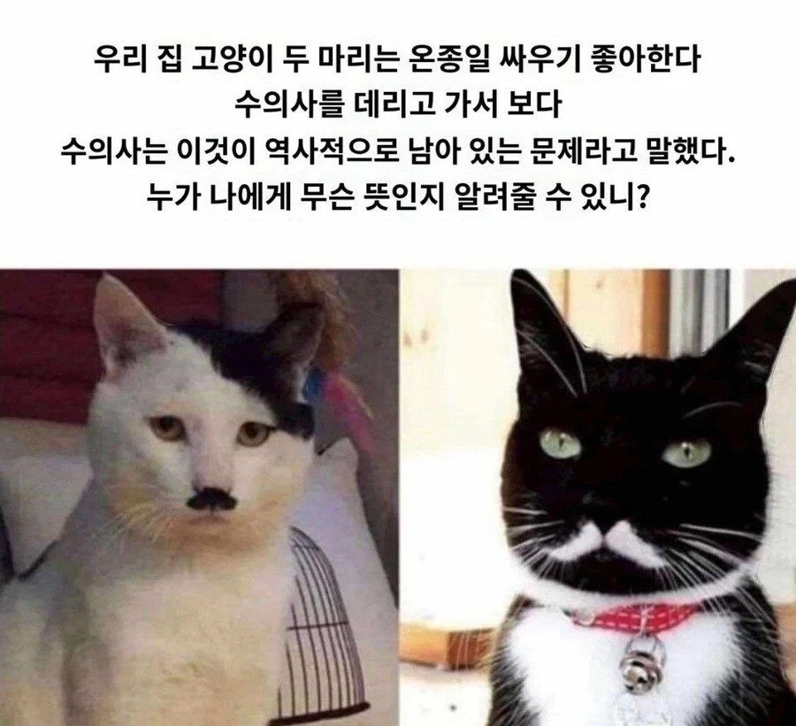 이건 싸울수밖에 없다