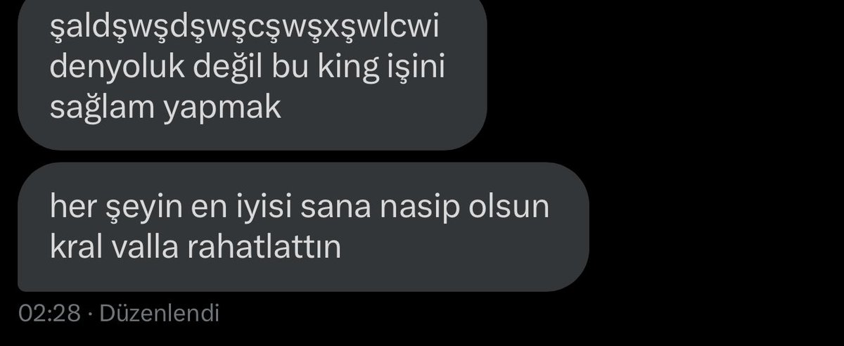 son günlerde aldığım mesajlar… sizleri seviyorum yoksa çoktan bırakmıştım bu işi….