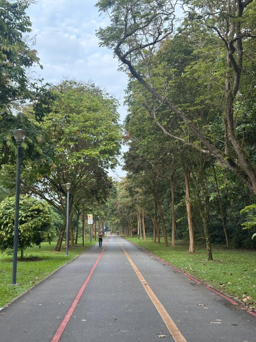 Dwoqi8889's tweet image. The  best  attitude towards  running:  don’ t ‍overestimate ​the ‍benefits of ​running, ᱸand ‍don’ t  underestimate ‍the  harm  of injuries.