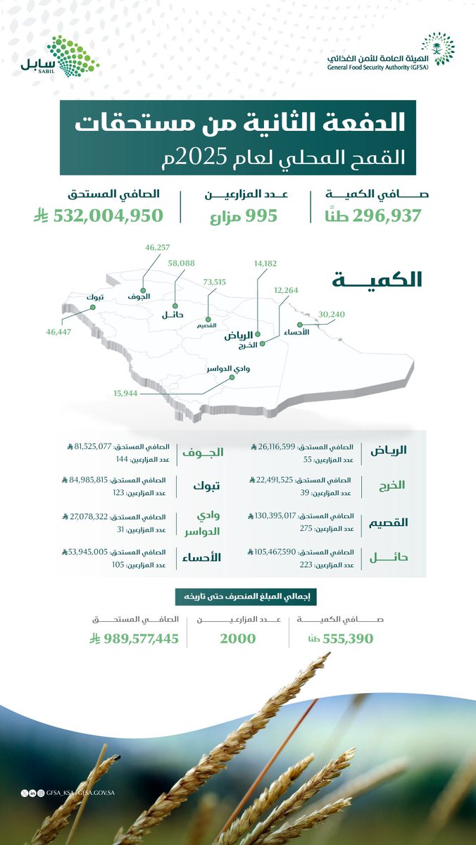 الصورة