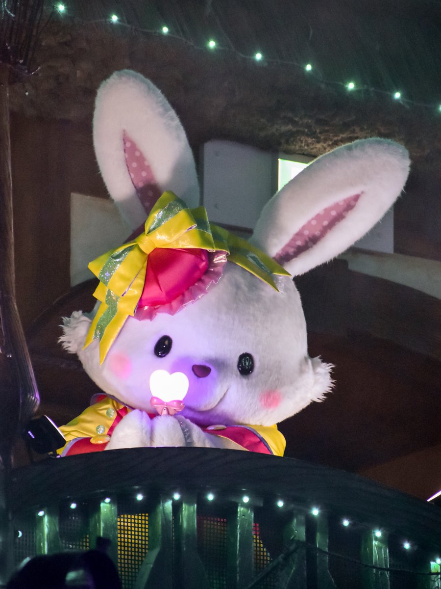 過去のわたしへ

一生のお願いなんですけどなかよくこねくとのRAWデータを消さないでください

わたしより