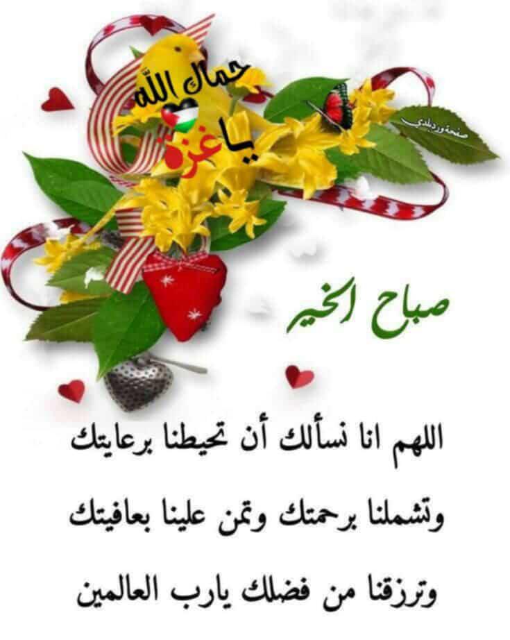 أ. محمد صبحي الجخبير 🇵🇸 (@moh_jakh2984) on Twitter photo 