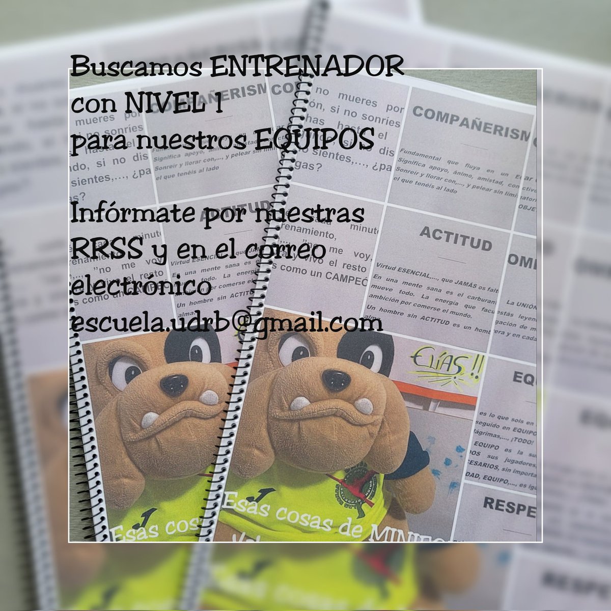 UD Las Rozas FS tweet media