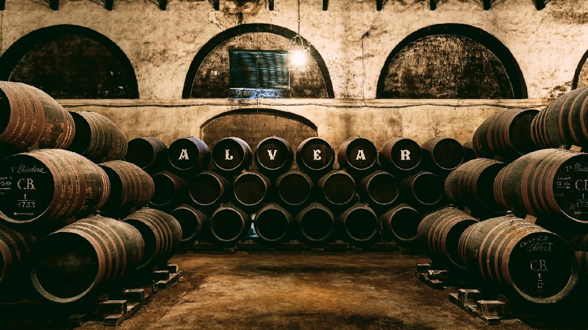 Bodegas_Alvear (@bodegas_alvear) on Twitter photo 🗣️`#VendimiaTeatral´,una innovadora propuesta cultural en <a href="/Bodegas_Alvear/">Bodegas_Alvear</a> dirigida por Juan Carlos Rubio montilla.es/teatro-bodegas… #MontillaenVendimia 🗣️`#VendimiaTeatral´,una innovadora propuesta cultural en <a href="/Bodegas_Alvear/">Bodegas_Alvear</a> dirigida por Juan Carlos Rubio montilla.es/teatro-bodegas… #MontillaenVendimia