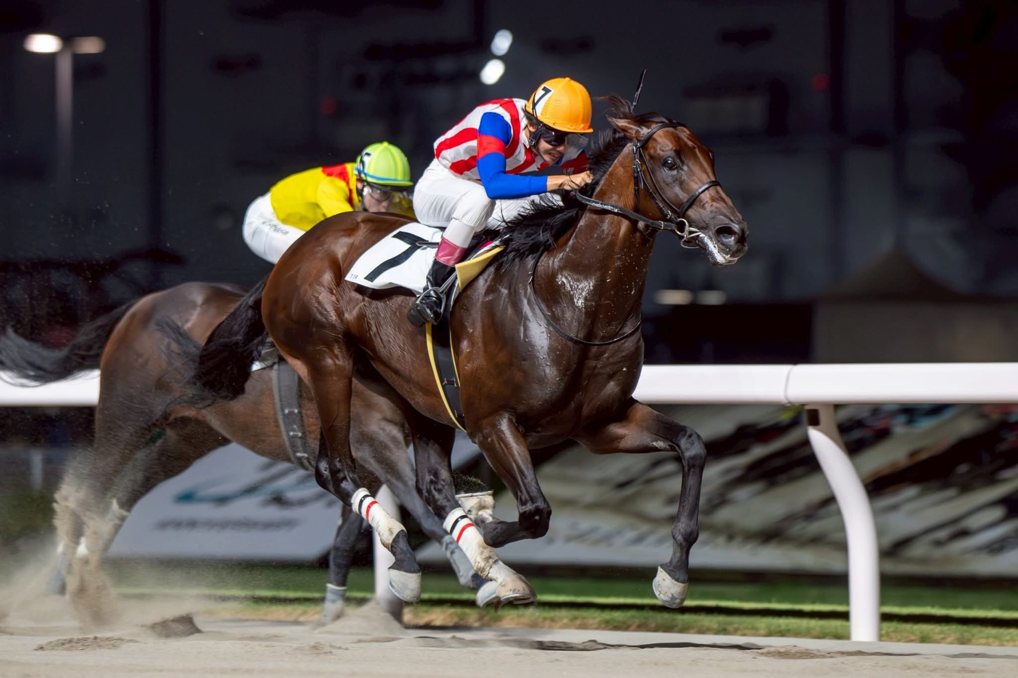 馬グッズ ホースシュー 【公式】🐎 (@horseshoe_uma) / X