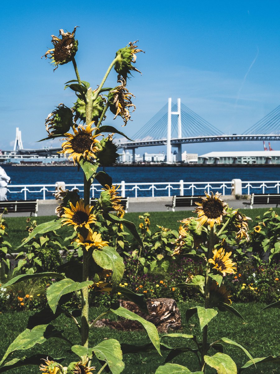 laycomathi's tweet image. 